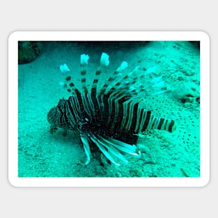 lionfish Sticker